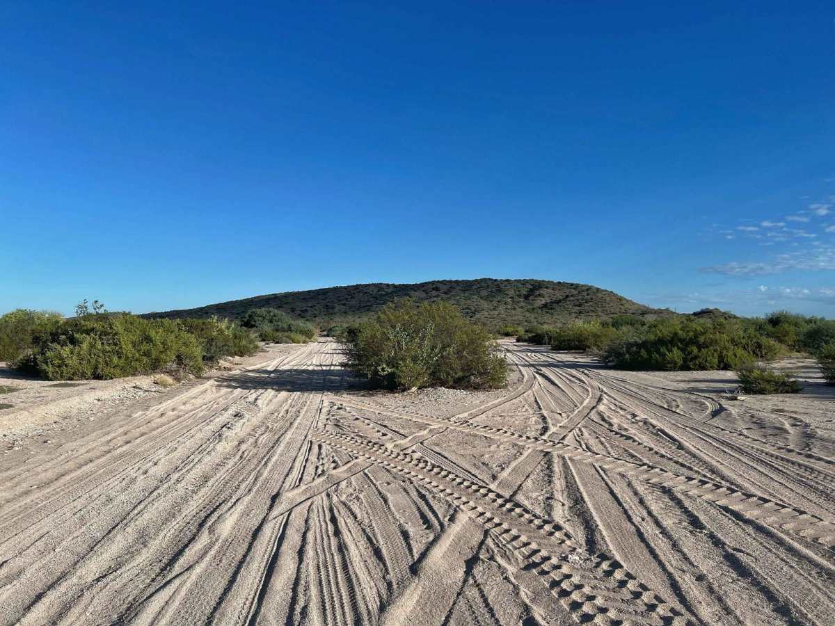 Palo Verde Beach photo 4