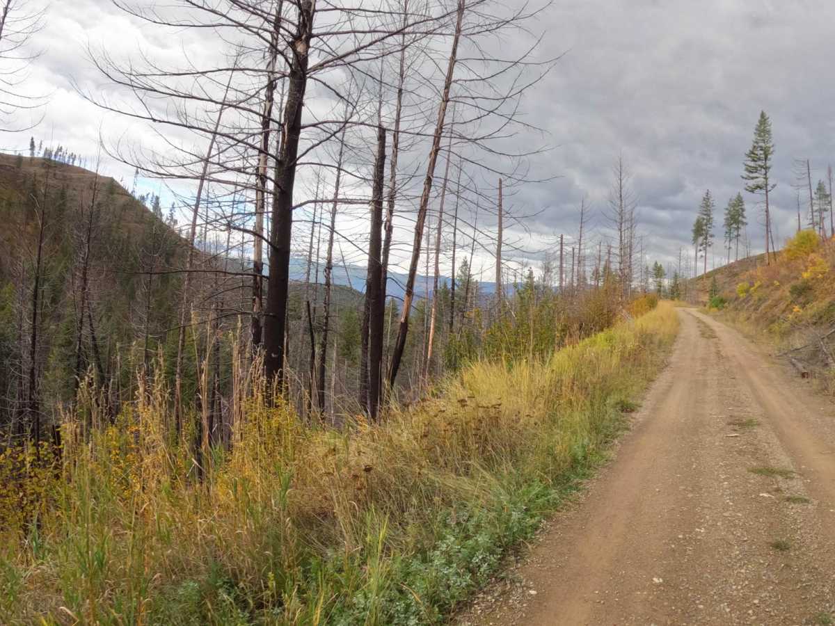 Saint Pats Road-Cyr Iron Mountain Road photo 6
