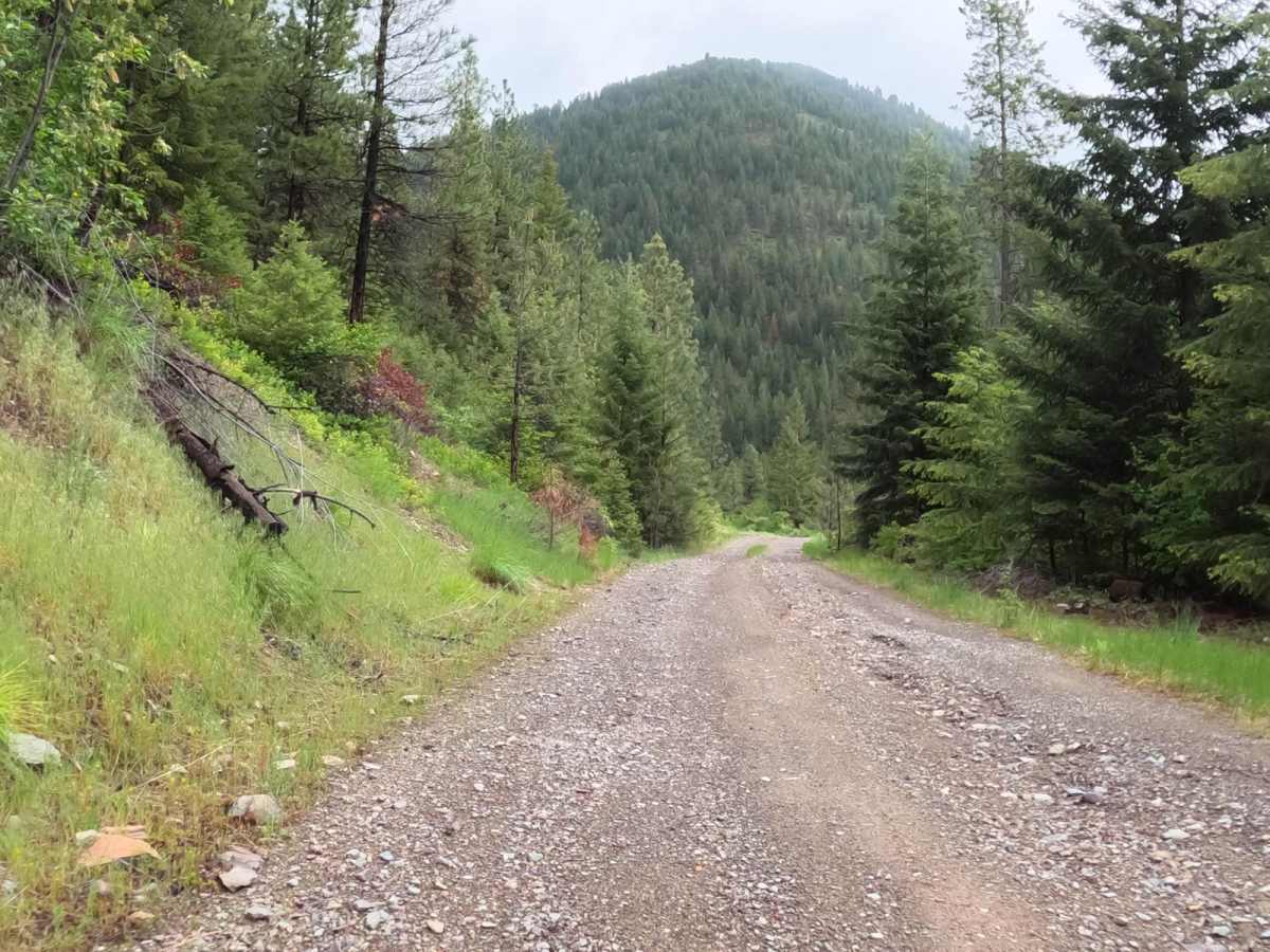 Deep Creek Road-Nemote Creek Road photo 3
