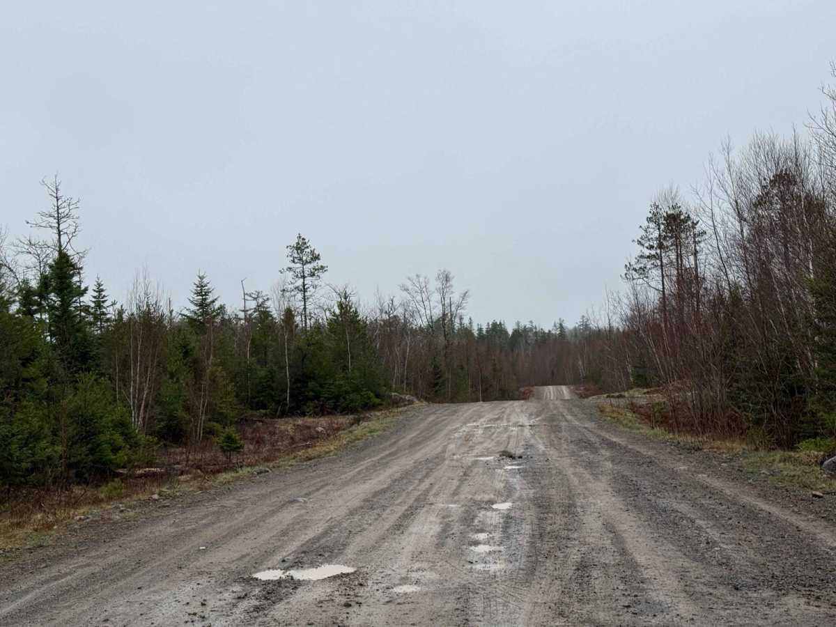 Route 99 photo 3