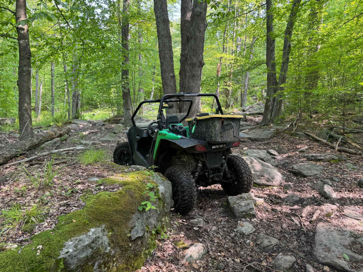 Penoke Trail photo 4