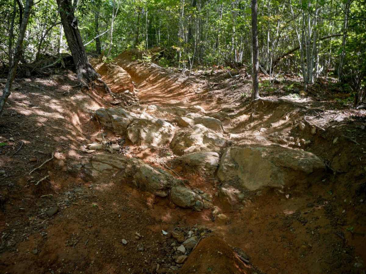 Stage 2 trail photo