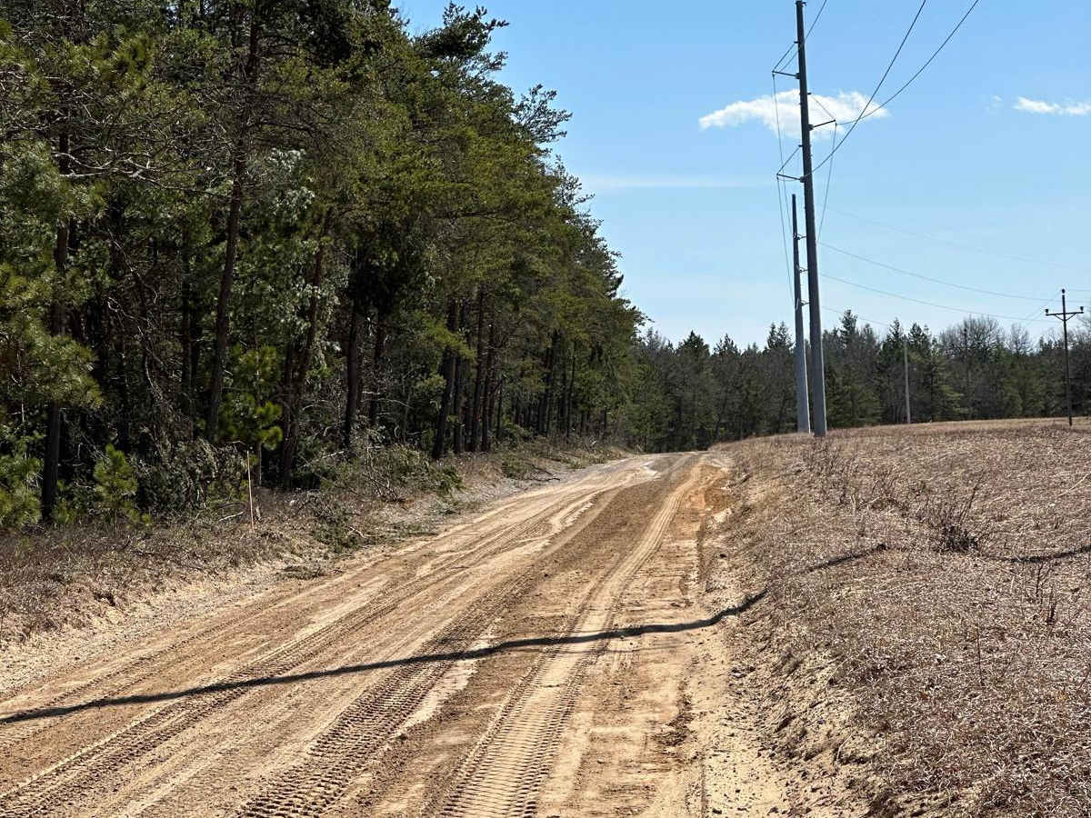 Wilber Road photo 4