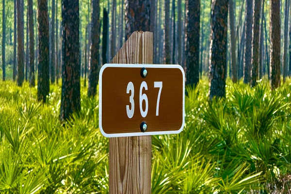 Forest Road 367