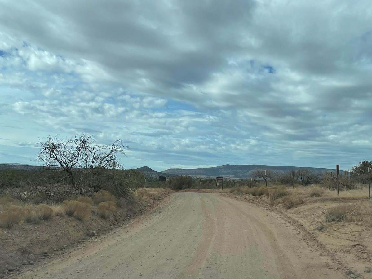 Sycamore Pass Road trail photo