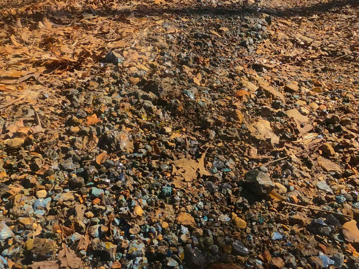 Fulton Furnace Road - FS 315 photo 6