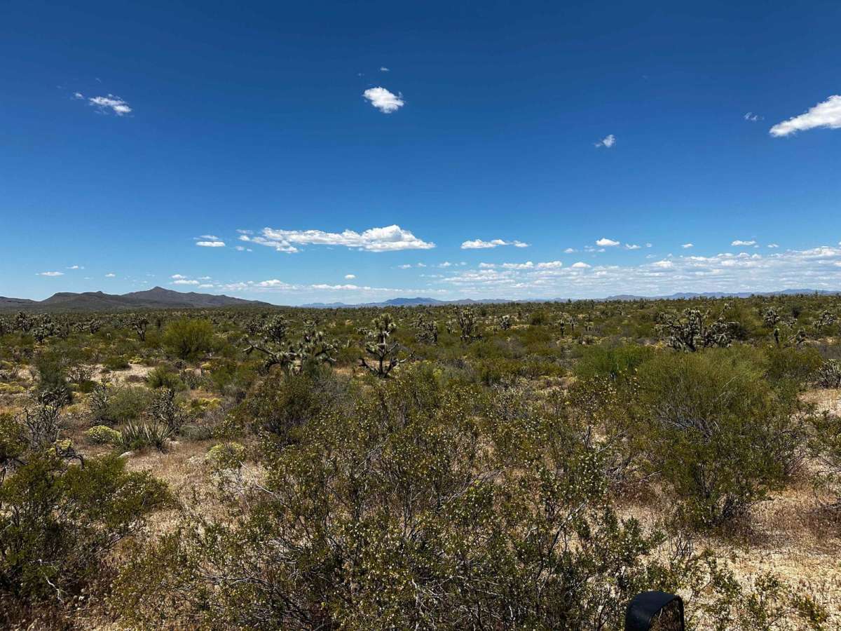 Joshua Tree Loop photo 3