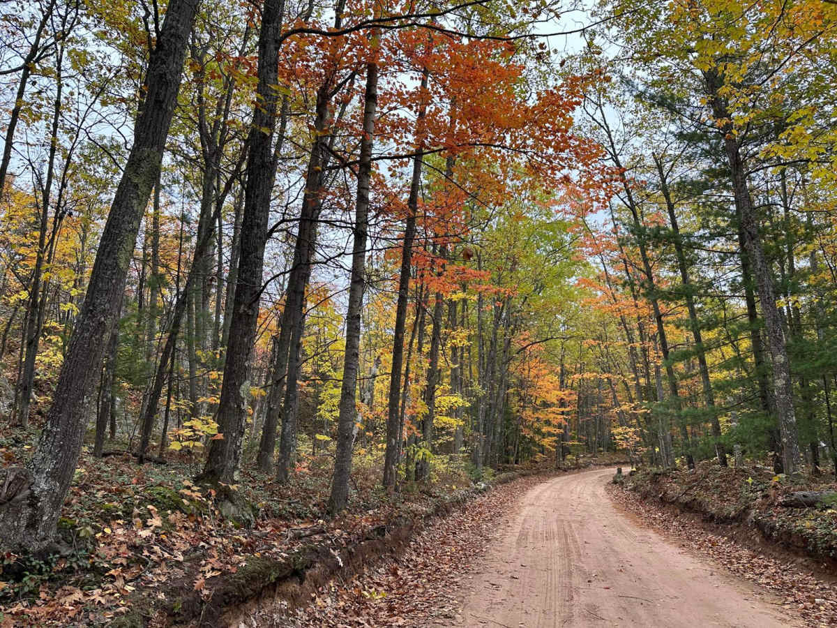 Harlow Lake Road Trail photo 4