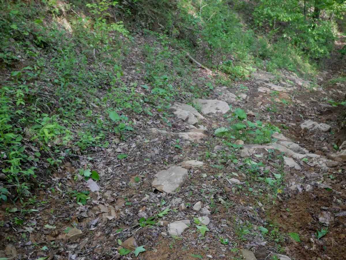 RV53 photo 2