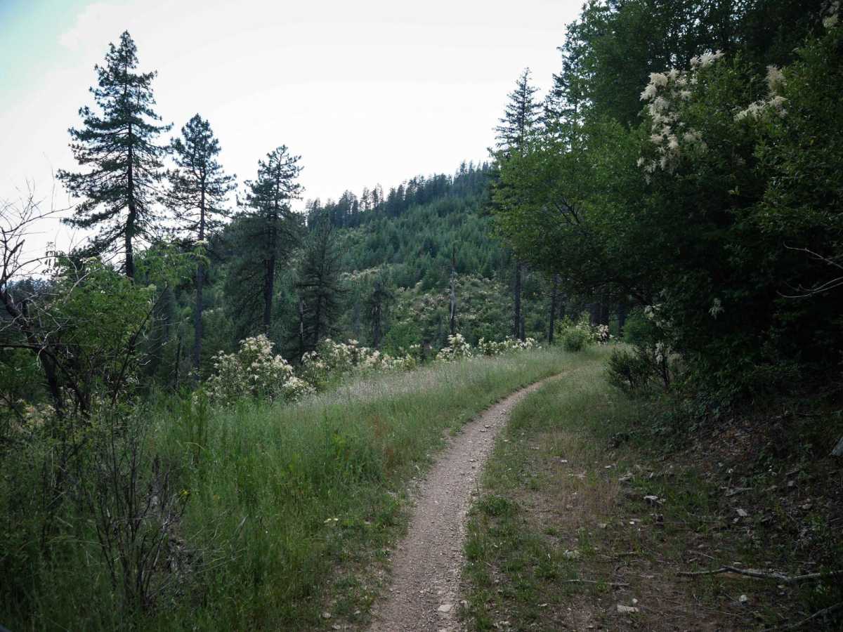 Canfield Mountain - Trail A (East) photo 2