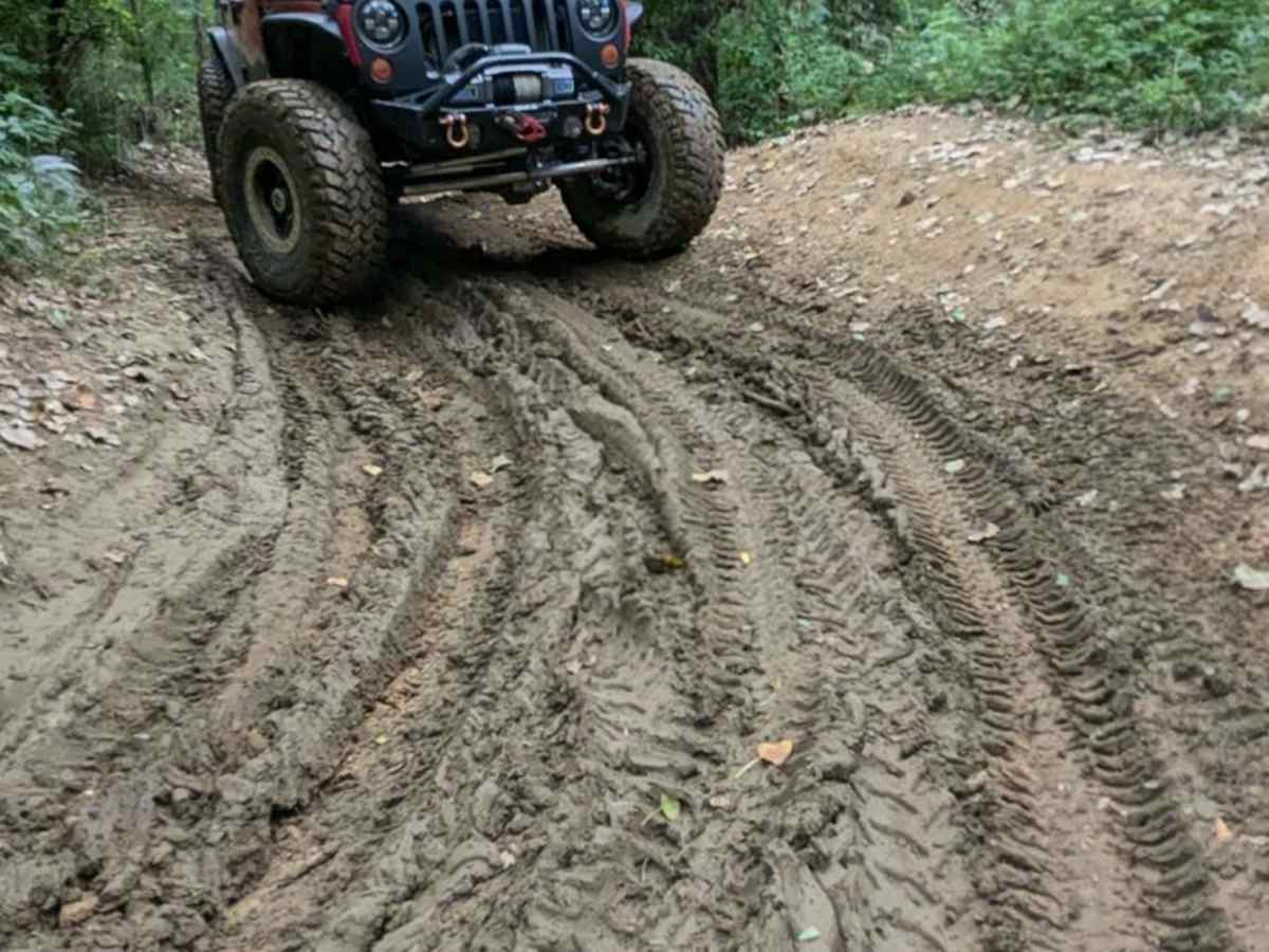 Deer Run photo 6