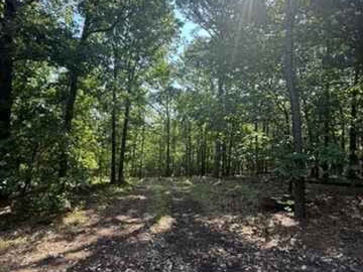 Blake's Trail 2.0 trail photo