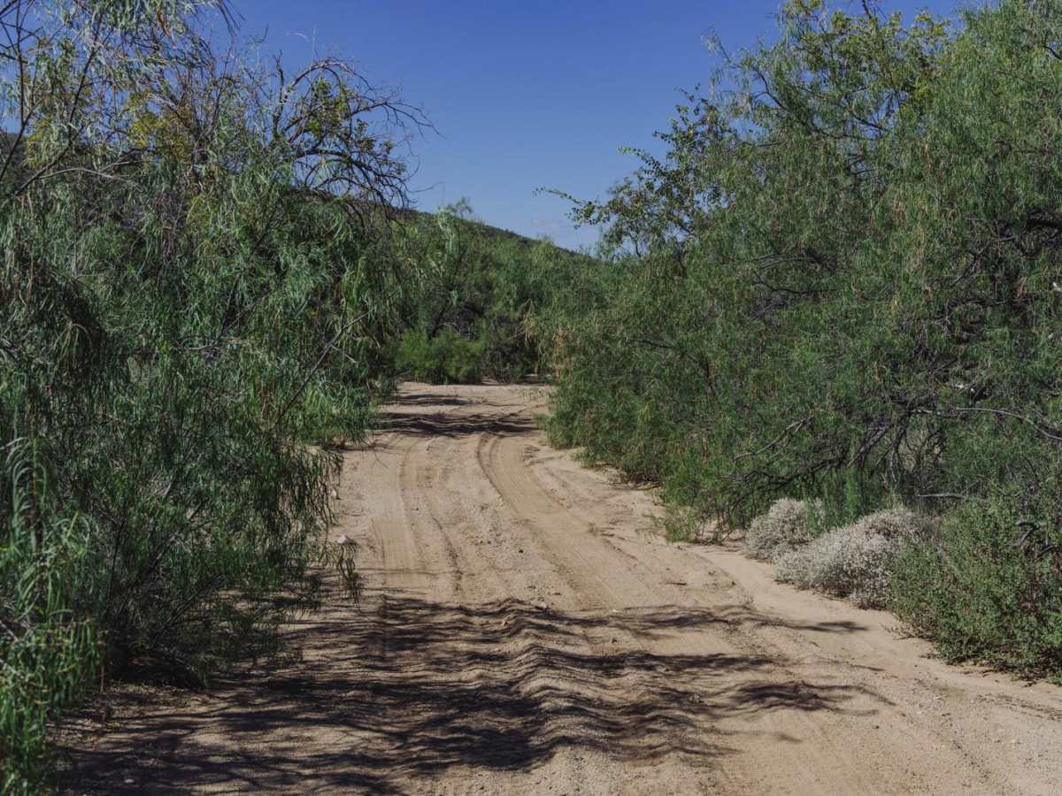 Copper Basin Wash photo 5