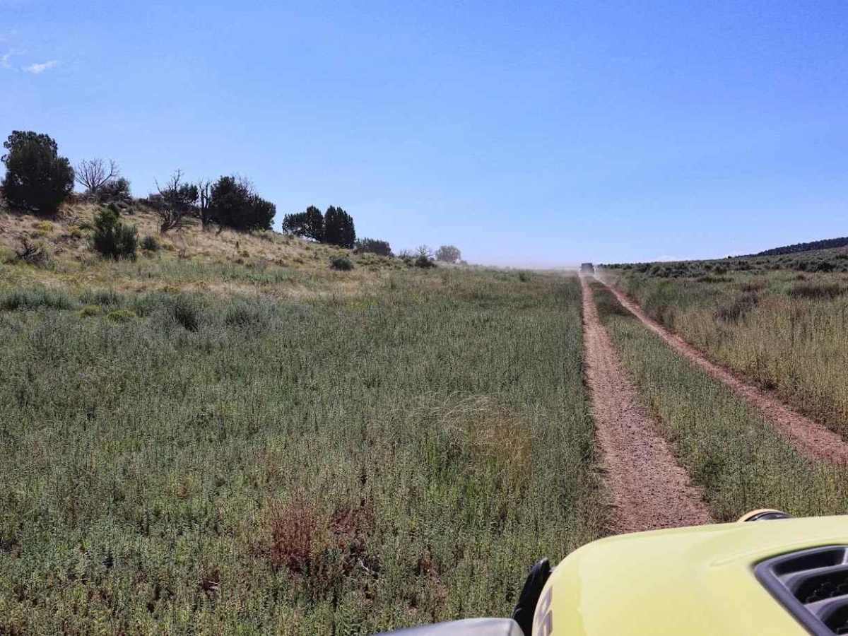 SB Point Road photo 2