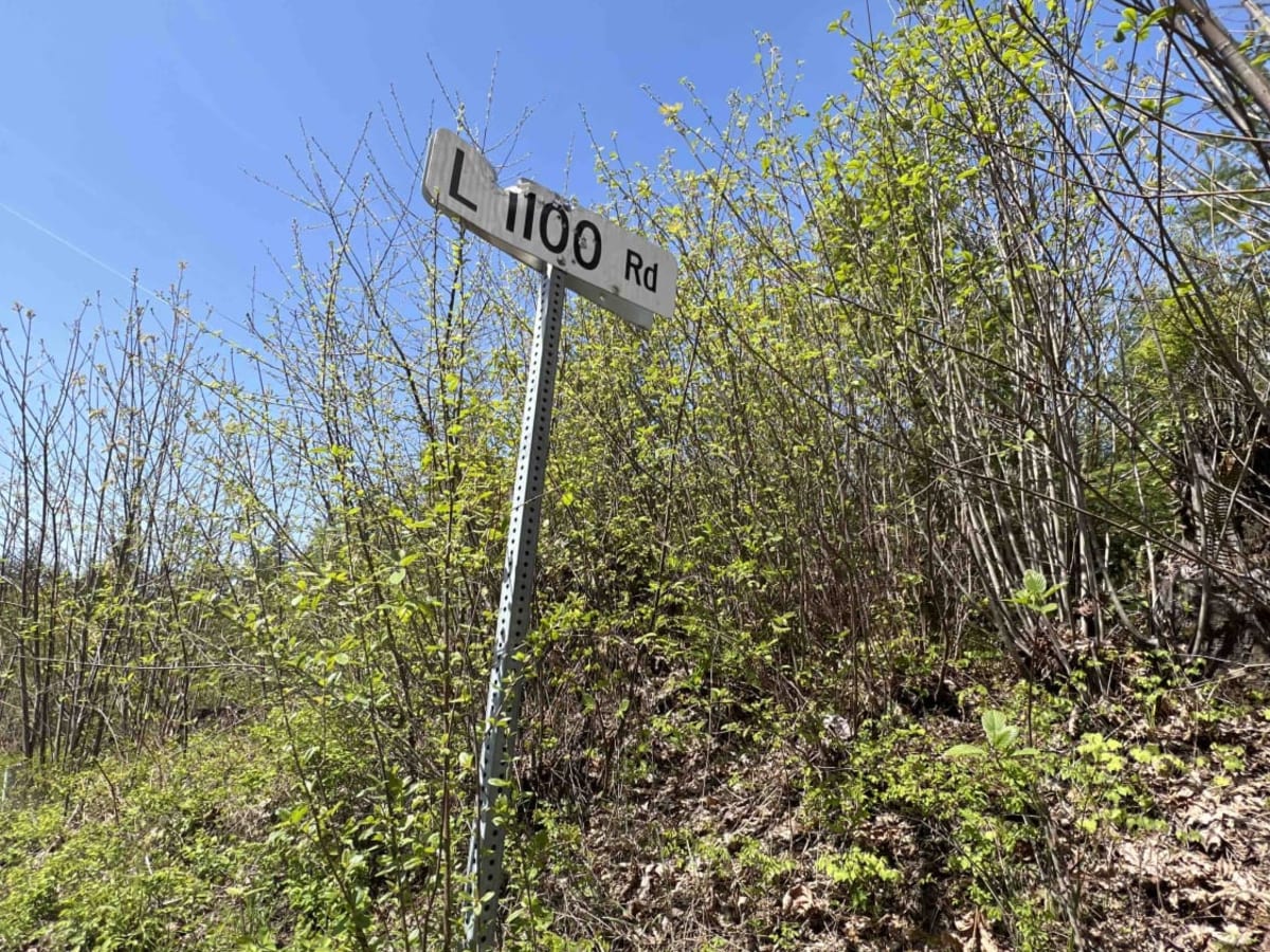 L-1100 photo 2
