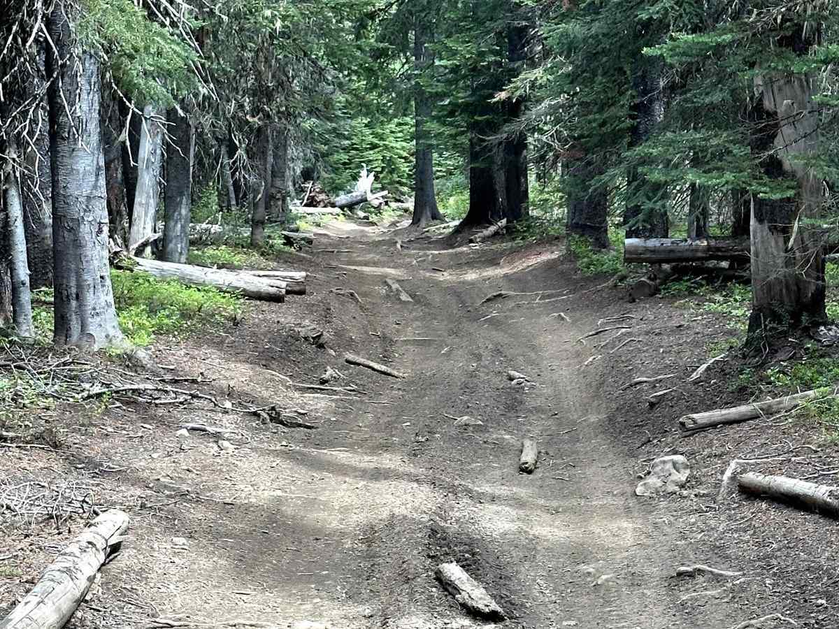 Tripod Flats Trail photo 4