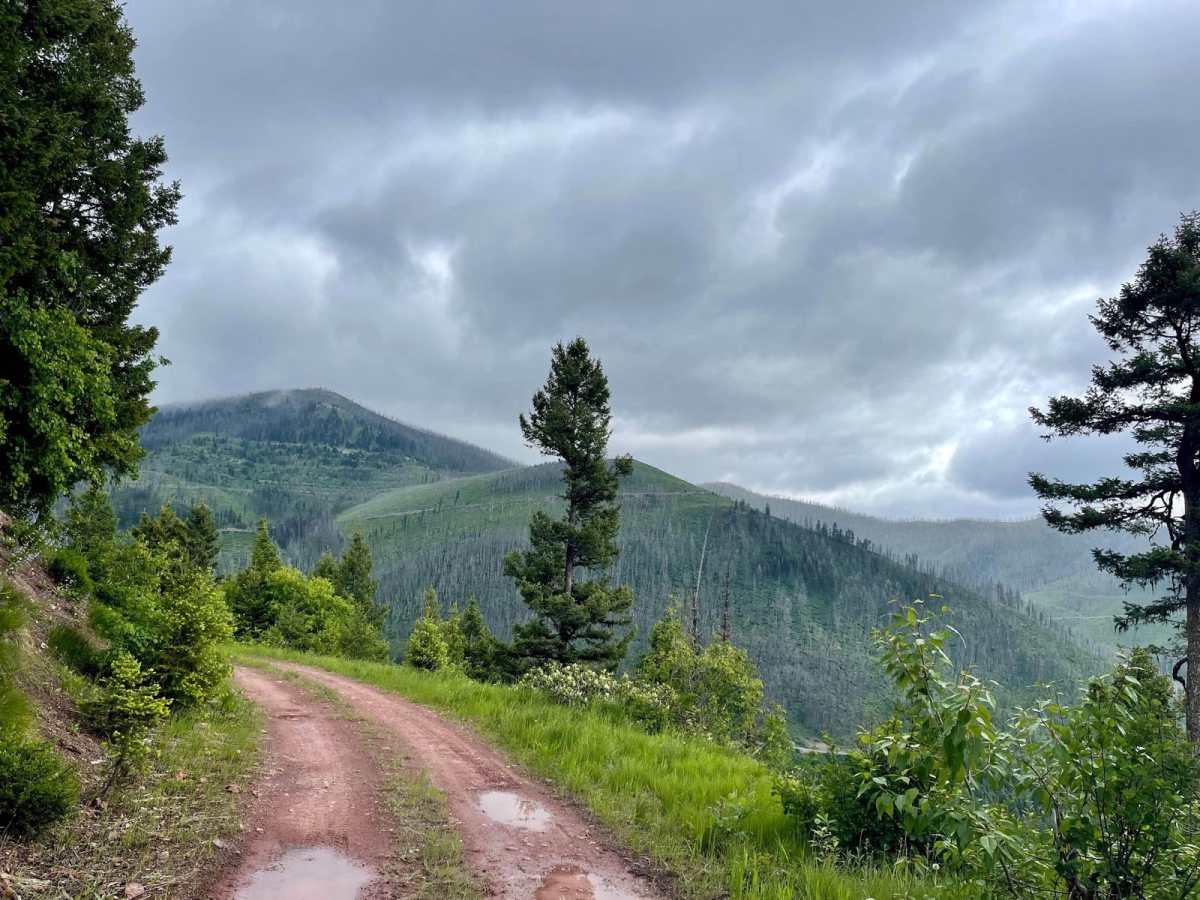 Cottonwood Ridge trail photo