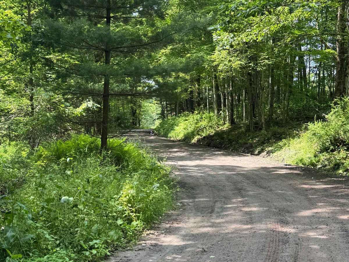 Old Union Road photo 3