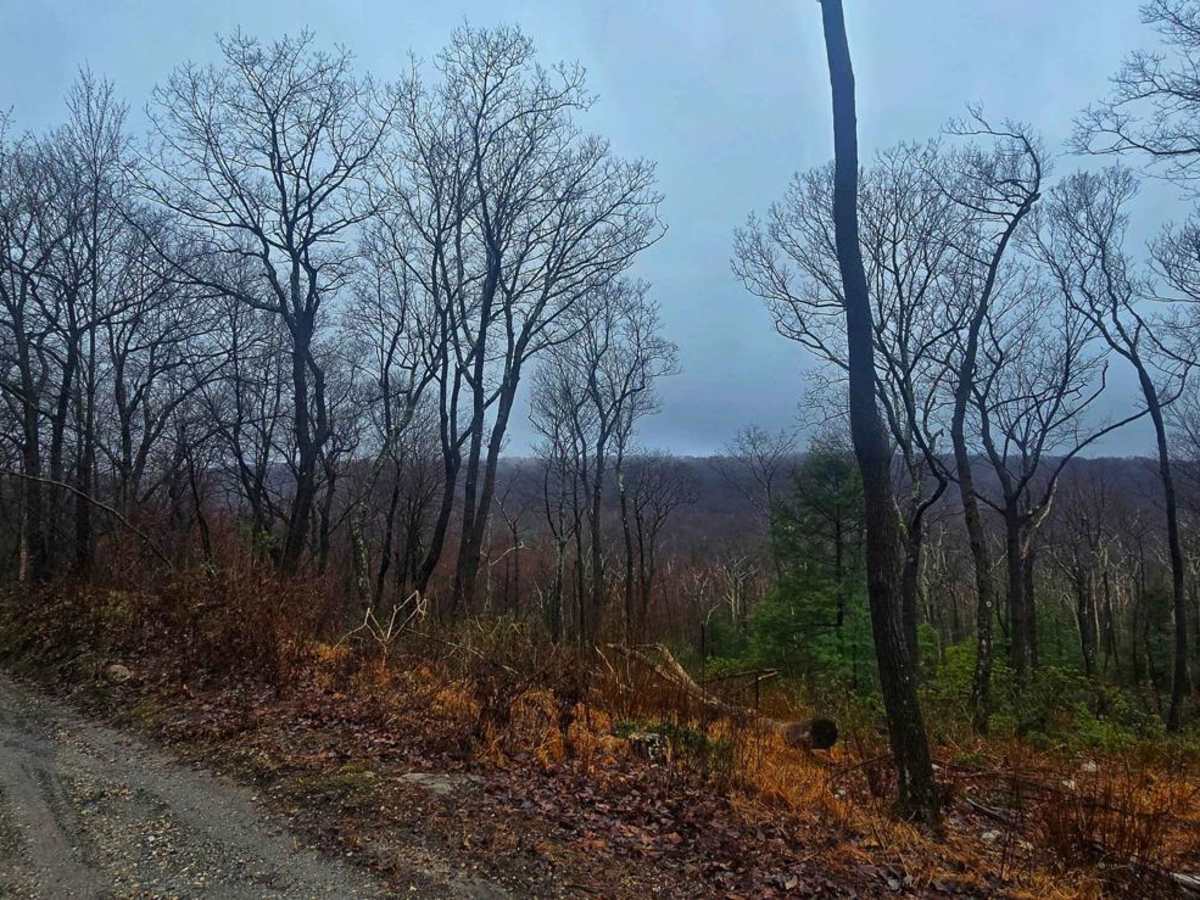 3 Square Hollow Road photo 5
