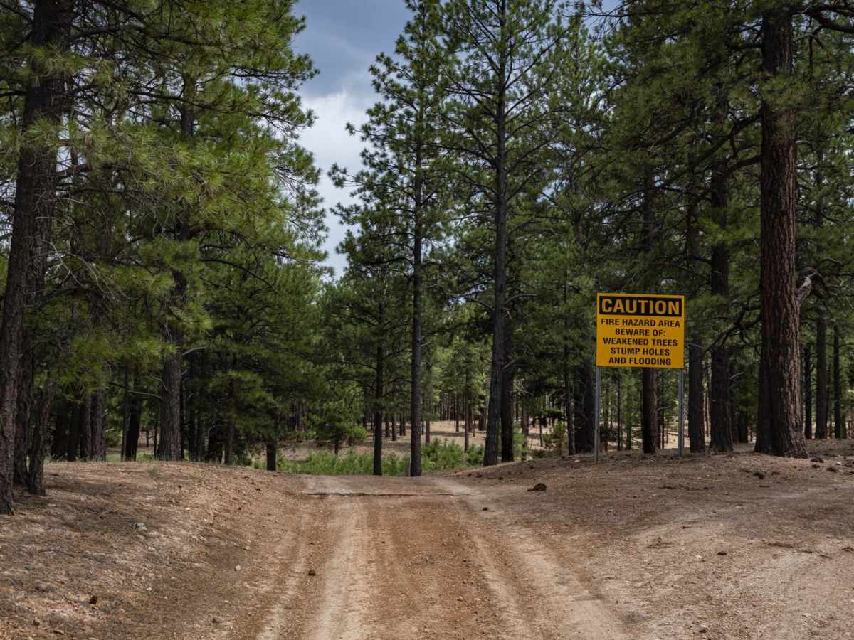 Beale's Wagon Road photo 6