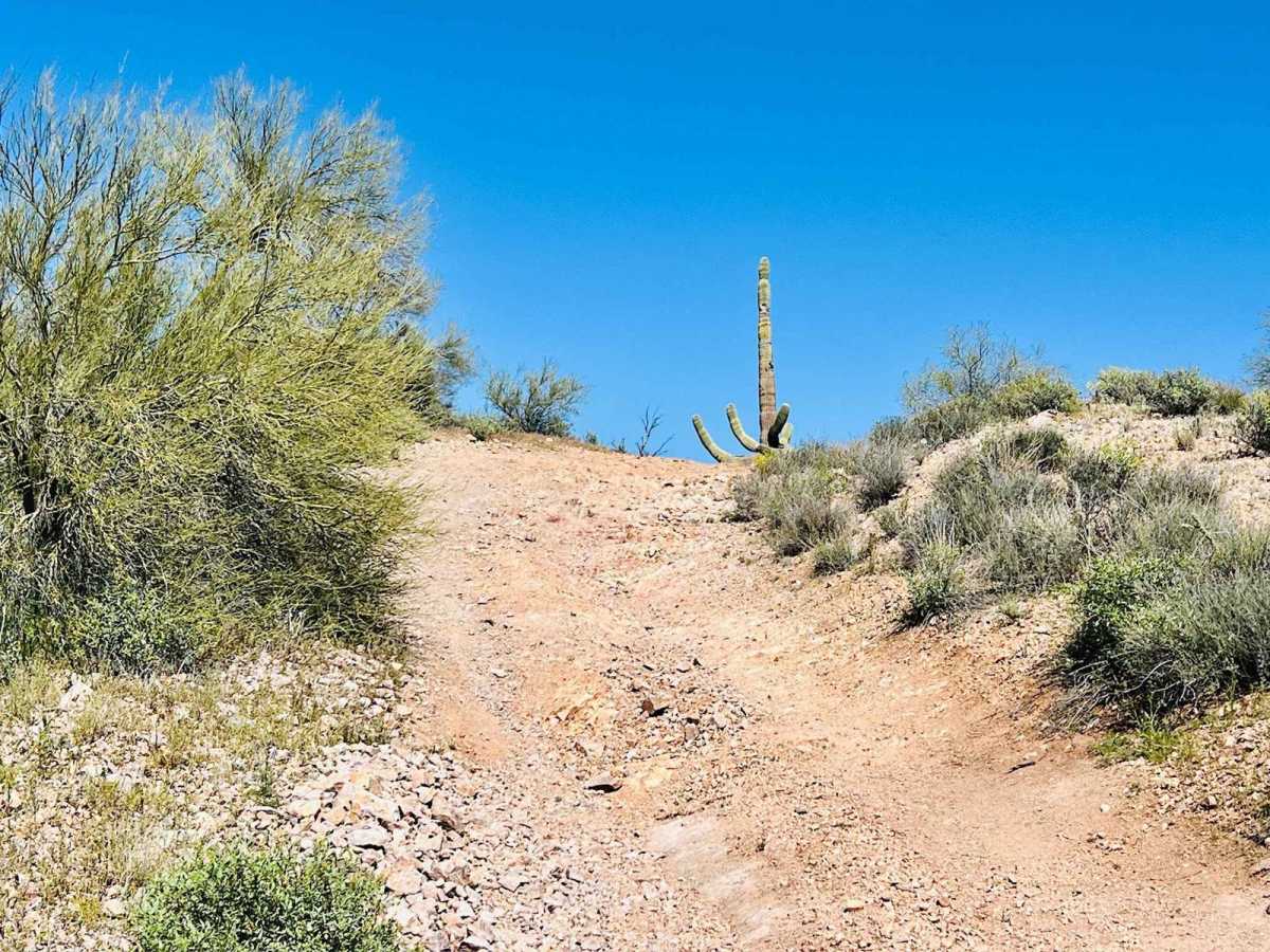 Another Wash Trail BLM 9060 photo 5