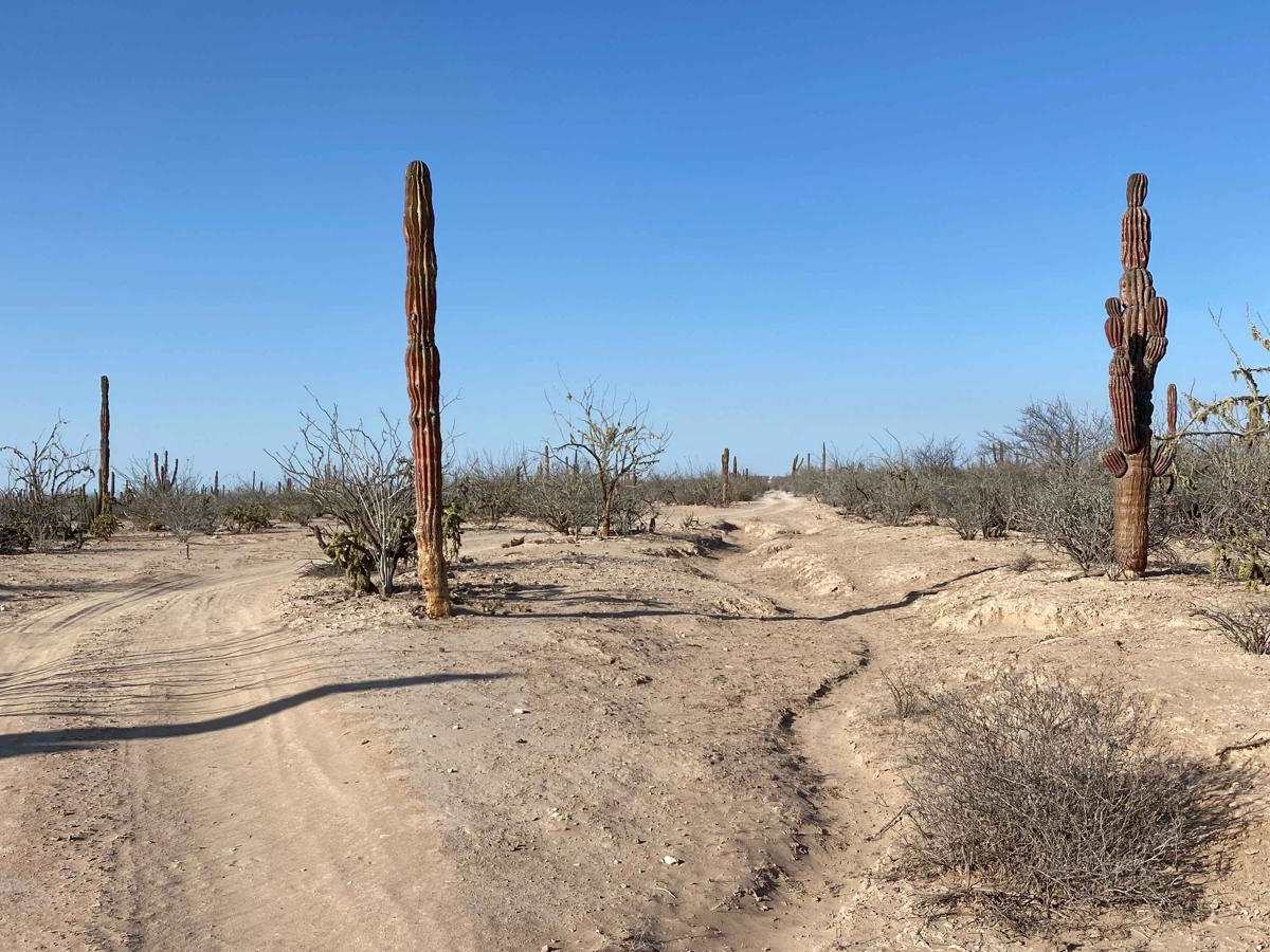 Off Middle Road photo 4