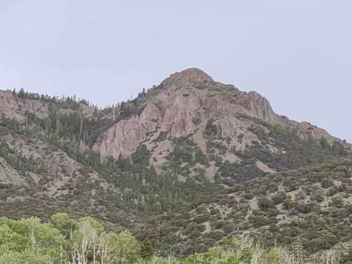 Mary's Nipple View (FS# 40617) trail photo