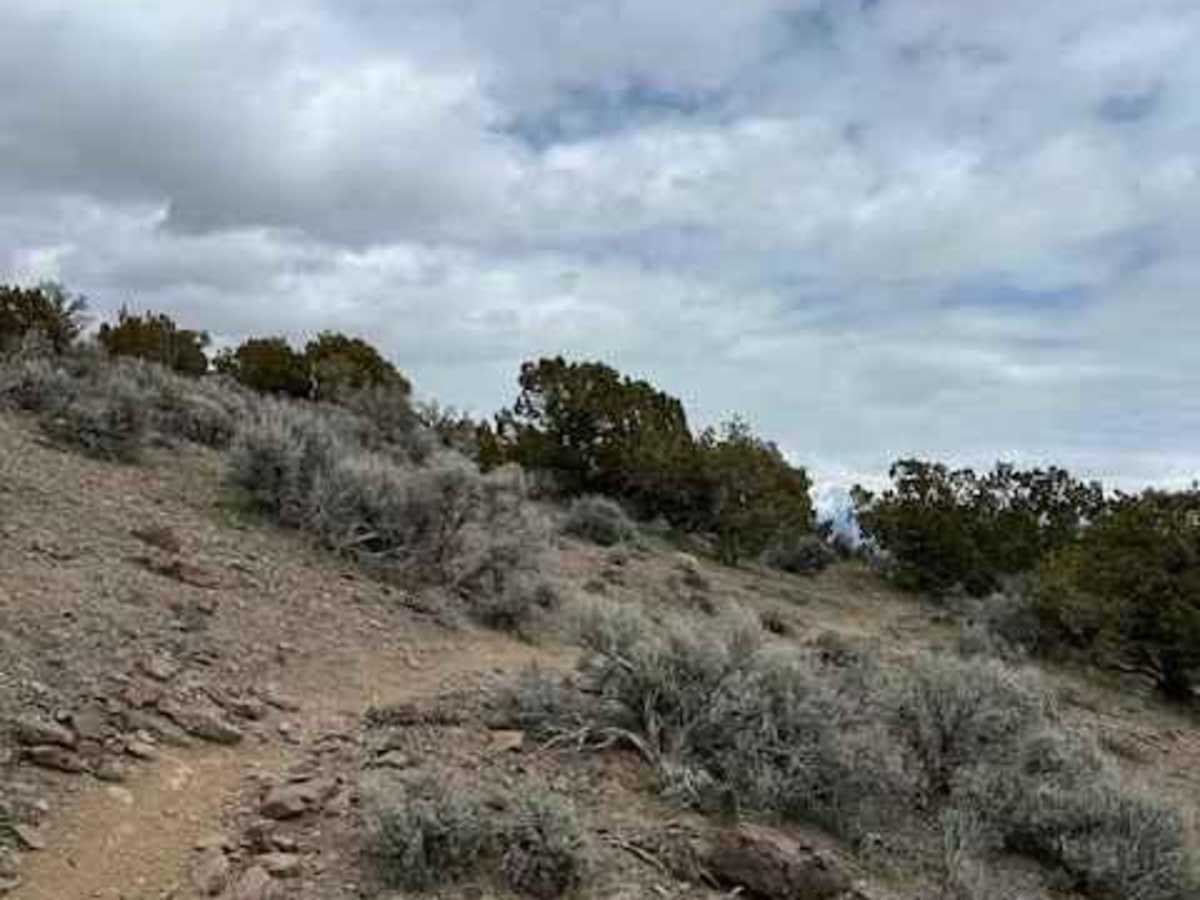 Hills Have Eyes photo 5