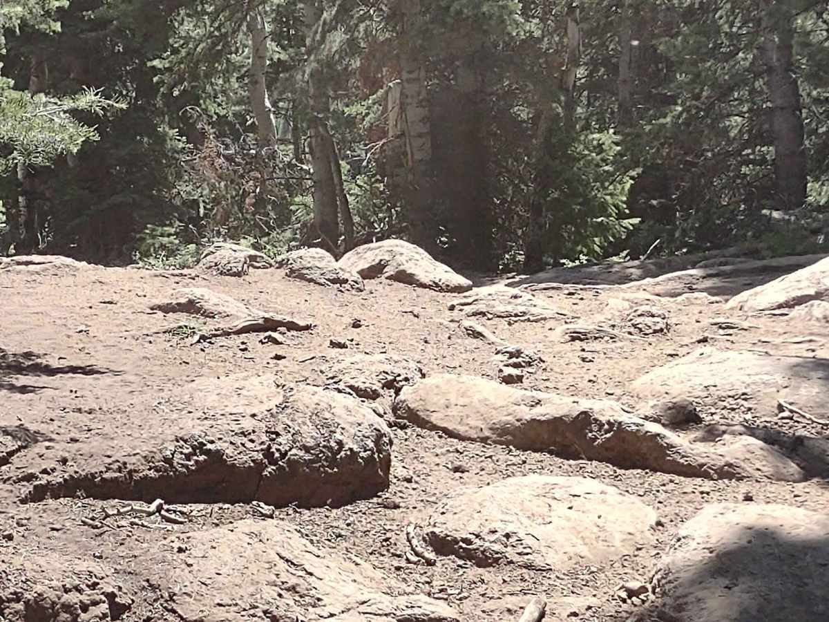 Hunts Lakes Loop - FS 40075 photo 4