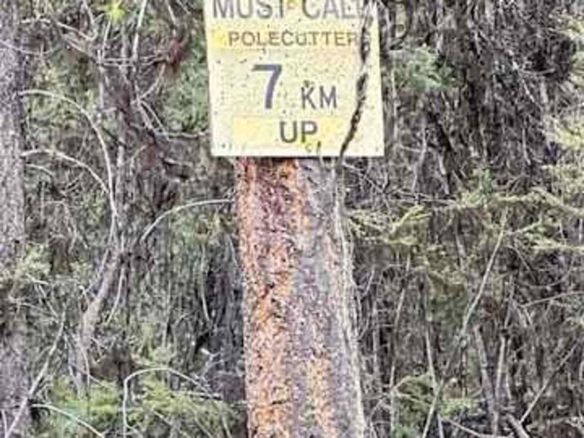Pole Cutter FSR trail photo