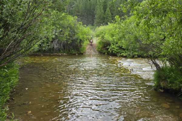 Rainey Creek- Mike Spencer Loop