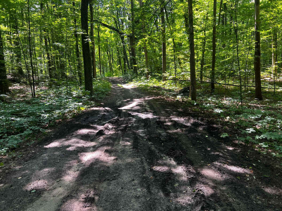 NFS 5273/5272 photo 4