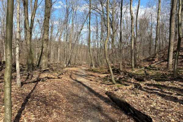 St. Keirns Single Track 7
