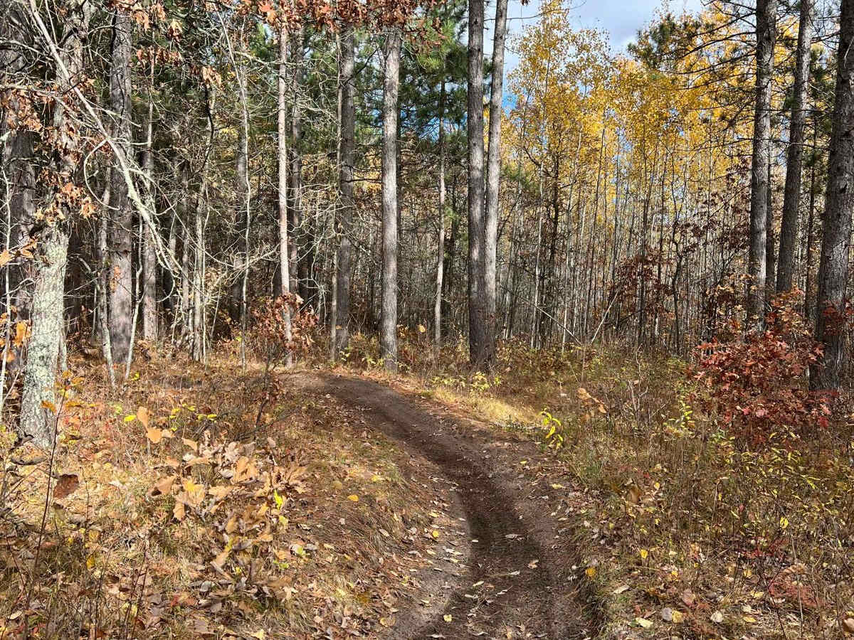 Huntersville Southwestern Trail photo 2