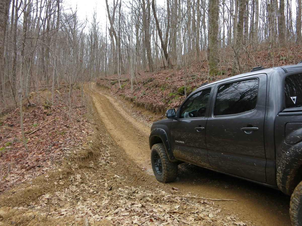 Trail 6 - Short Mountain Trail trail photo