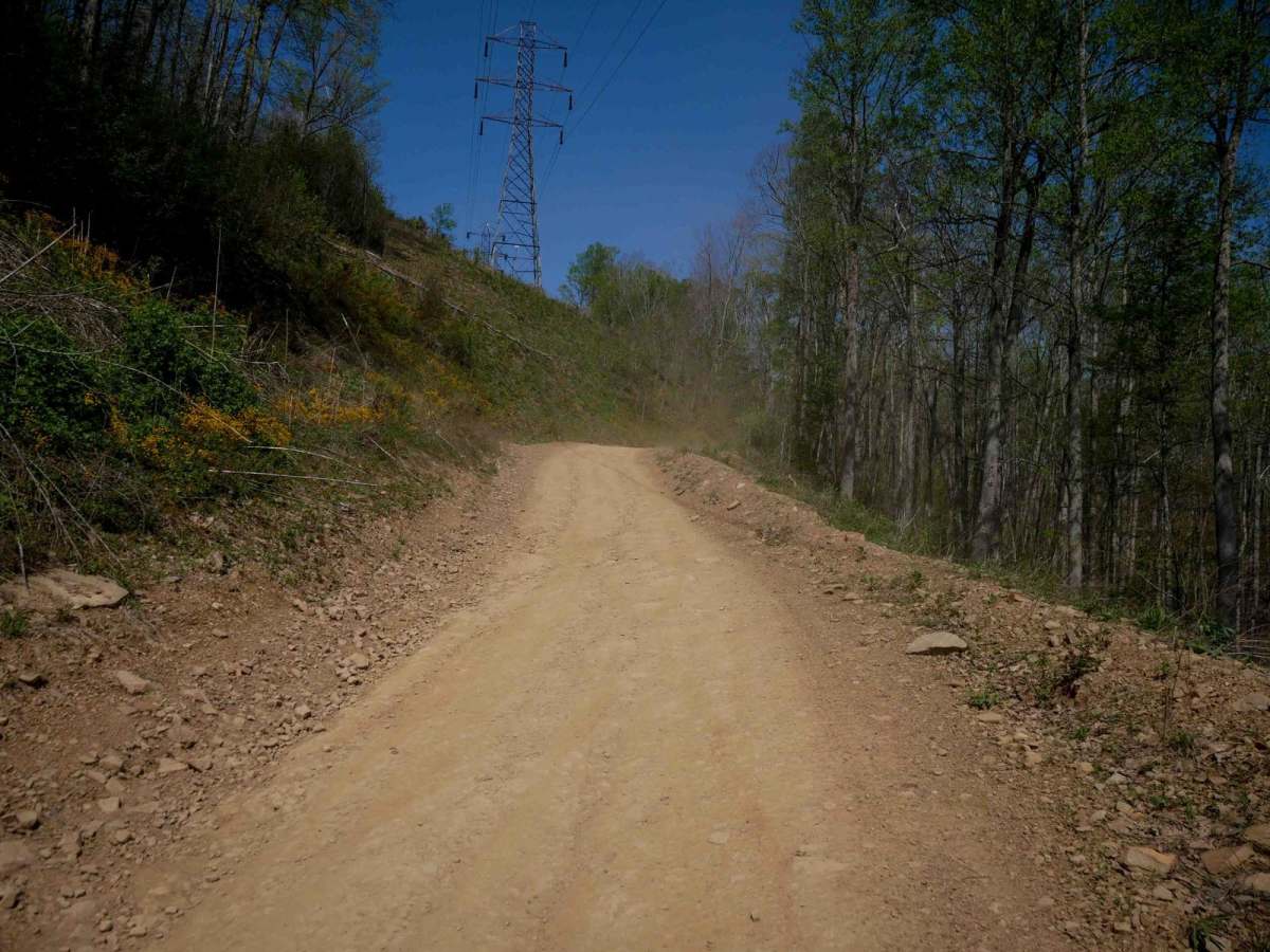 P19 photo 4
