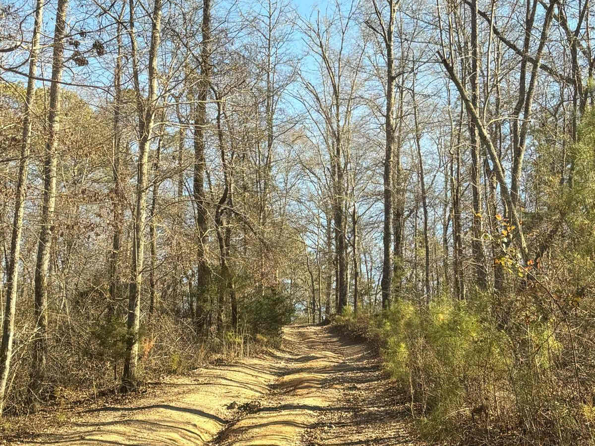 Creek Trail Bypass photo 4