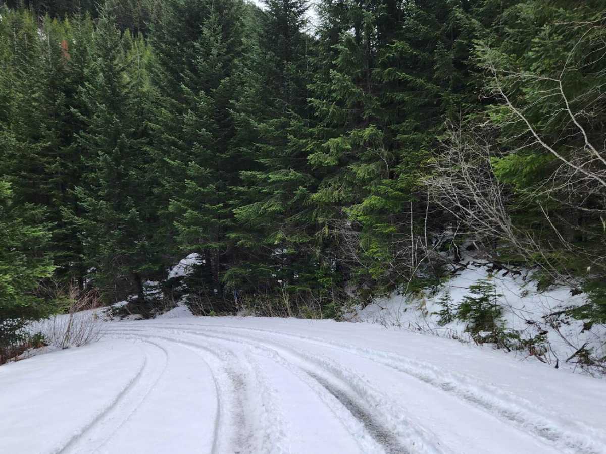 Dungeness Fork Run photo 2