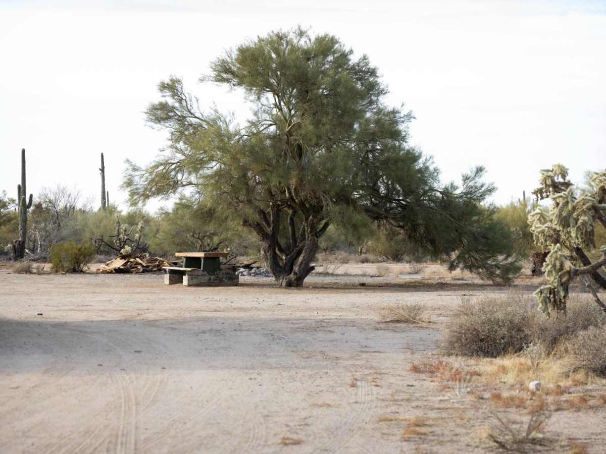 Iron Valley Road photo 4