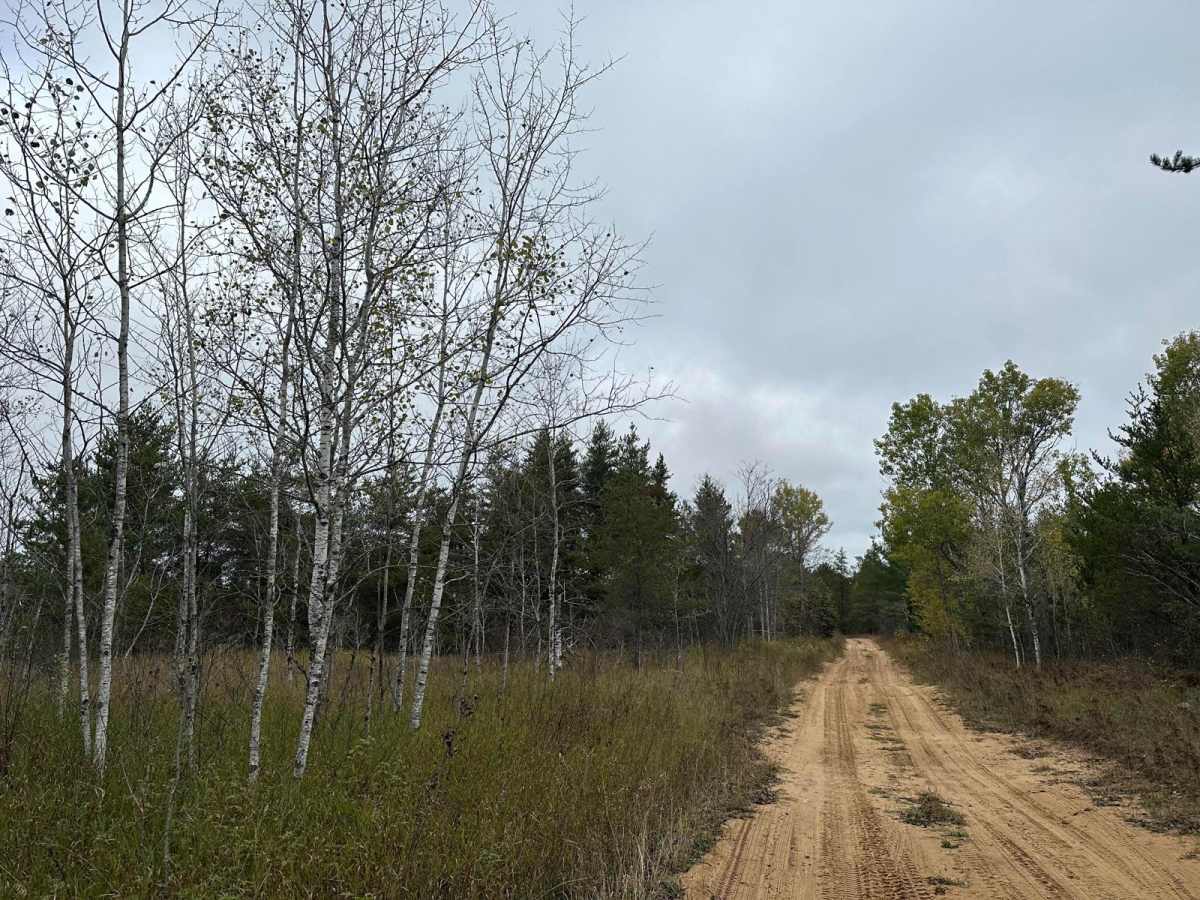 Driggs River Road photo 2