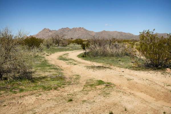 Lower Loop Trail