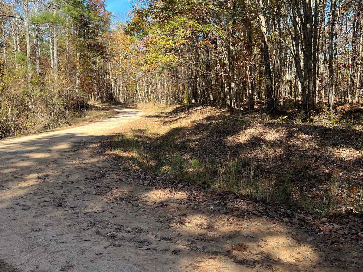 Ridge Road - FS 213 photo 6