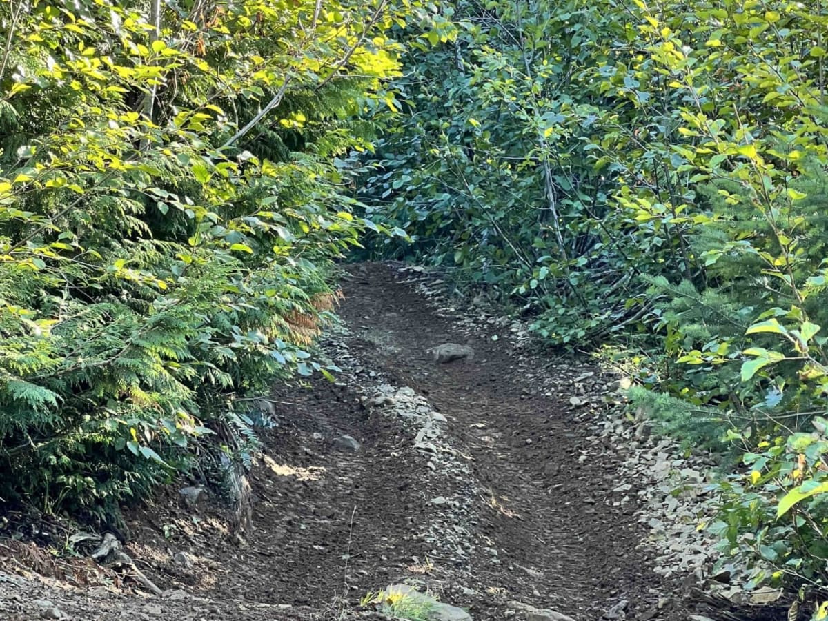 Switchback Hill photo 6