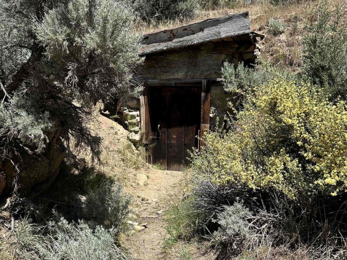 Montini Cabin Homestead Loop photo 3