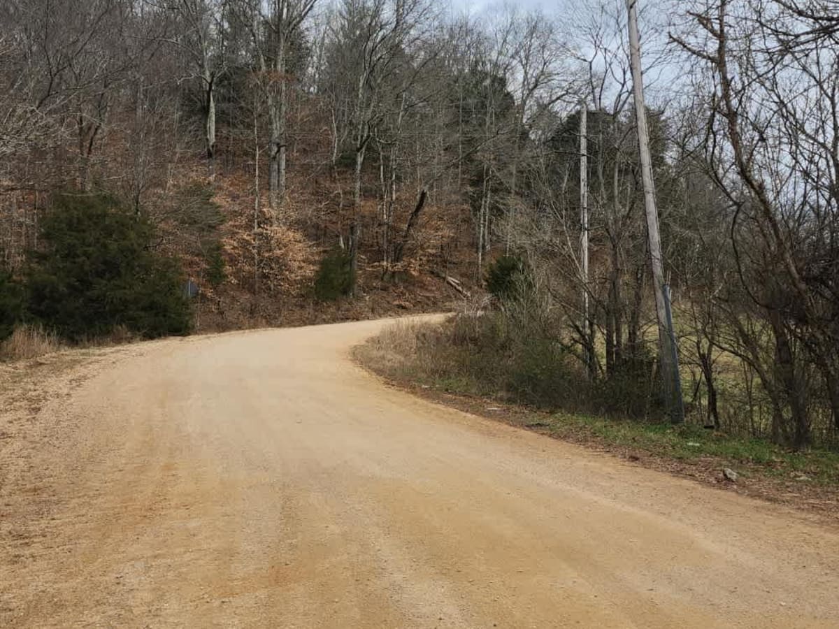 South Lick Creek Road photo 6