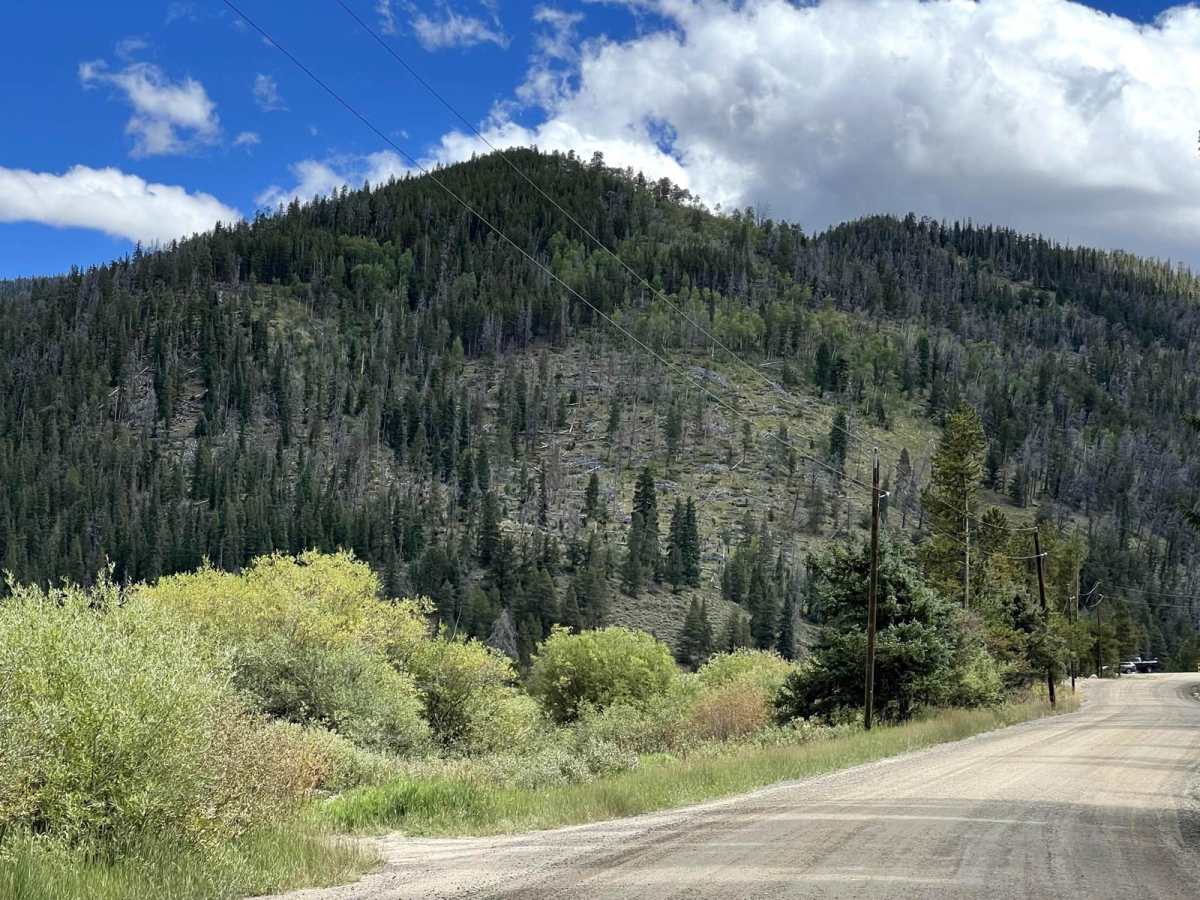 Tiger Road to Greenhorn Gulch photo 3