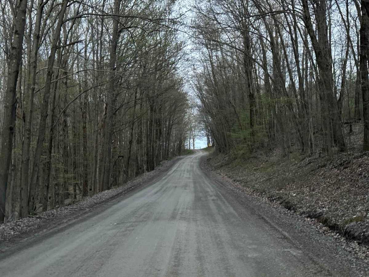 Tripp Lake Road photo 5