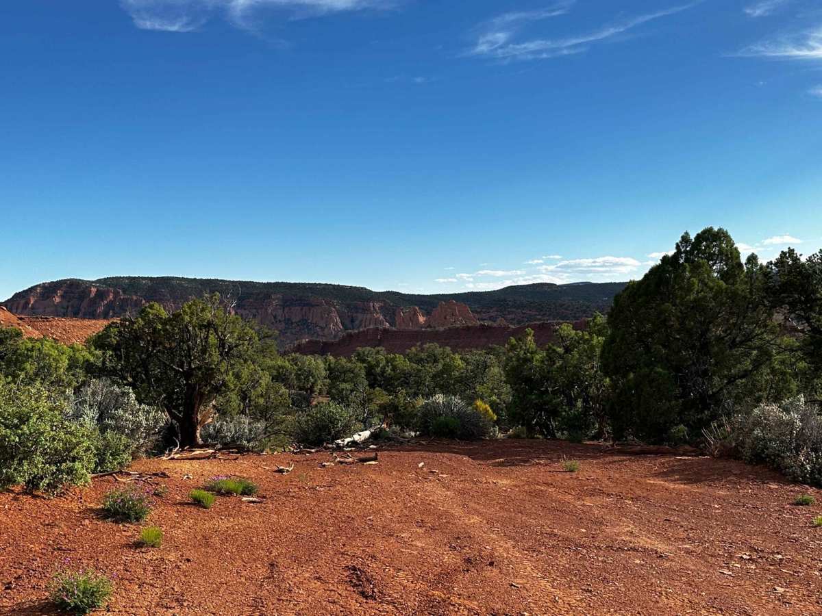 Pleasant Creek (South Draw Road) trail photo