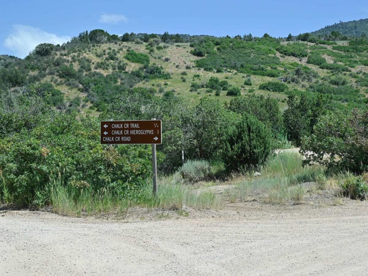 Chalk Creek Road/PST 03A trail photo