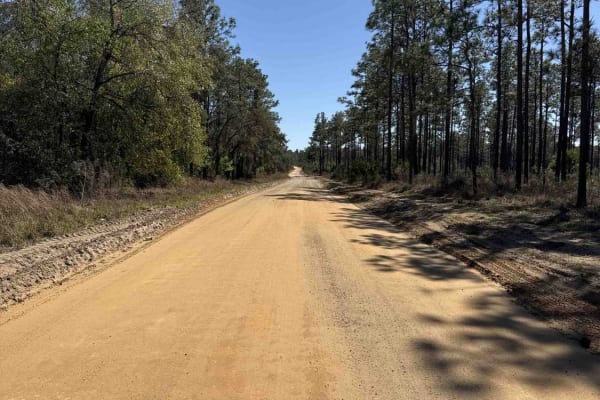 Telephone Trail South - ONF 69